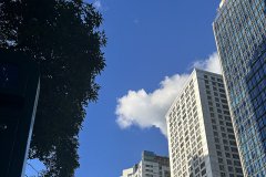 紐約州公司的獨特優(yōu)勢：全球化布局的戰(zhàn)略選擇