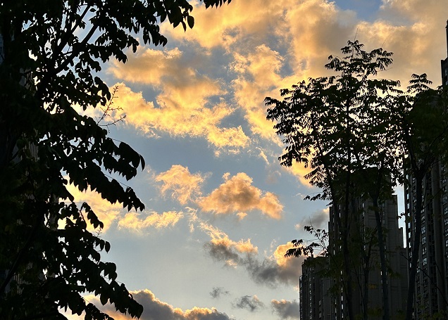 香港高才通續簽的申請時間有要求嗎