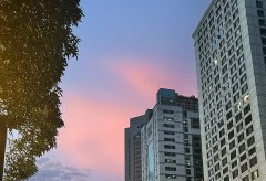 外資企業能否全資持股尼泊爾公司