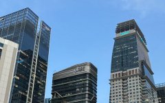 新加坡公司董事和股東可以是同一個人嗎?答案與合規指南